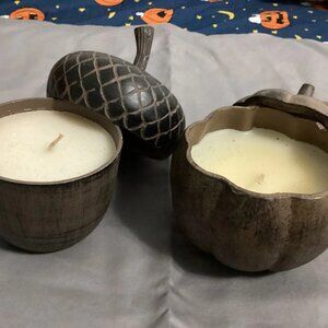 Metal Acorn & Pumpkin Candles New